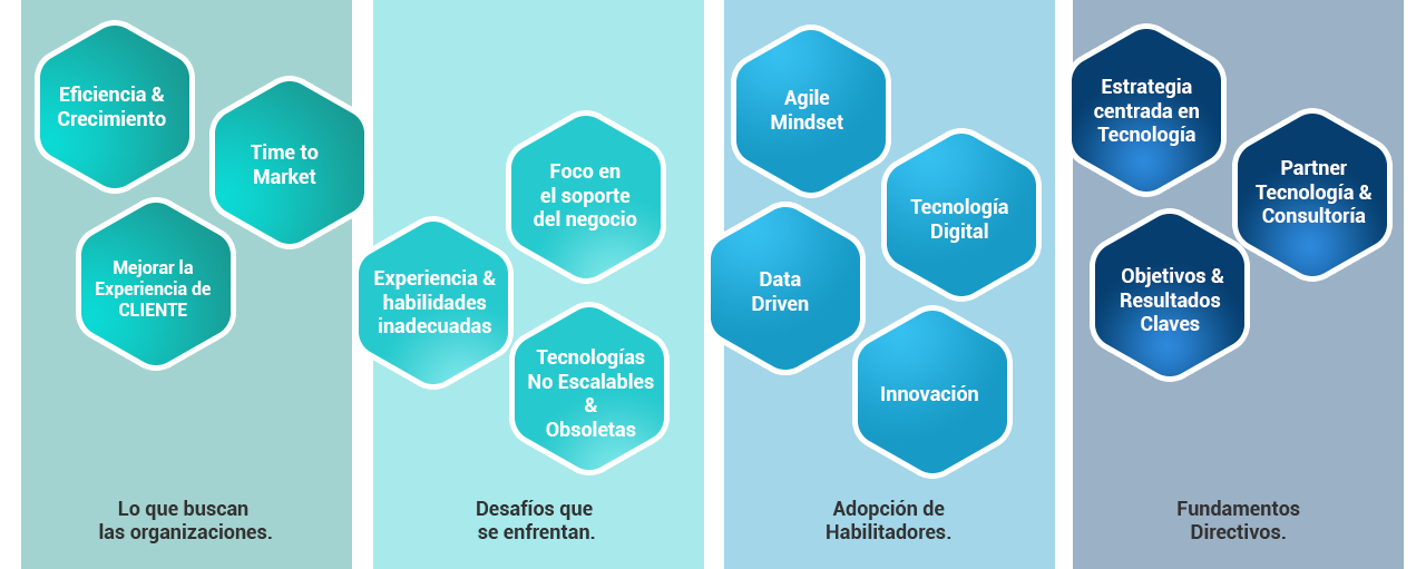 cultura_acercamiento_04